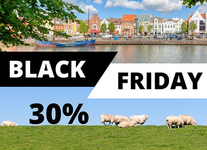 Black-Friday: 30 % Rabatt